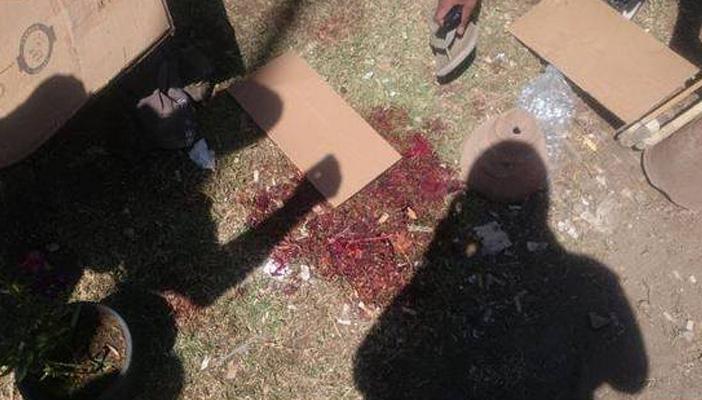 بائع الشاي و”شوباشية” السيسي