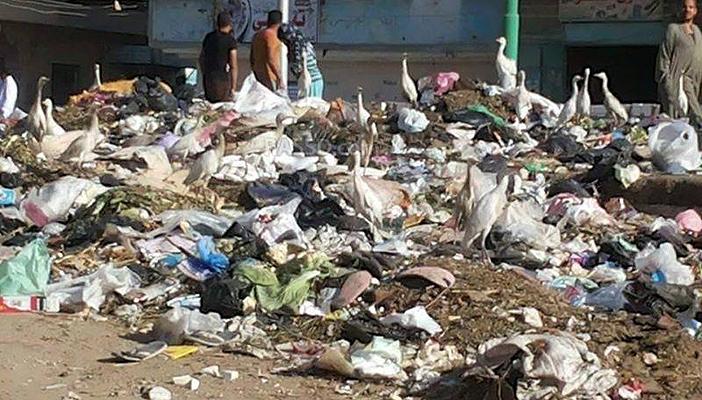 أهالي بهرمس في الجيزة يشتكون من أزمة انتشار القمامة