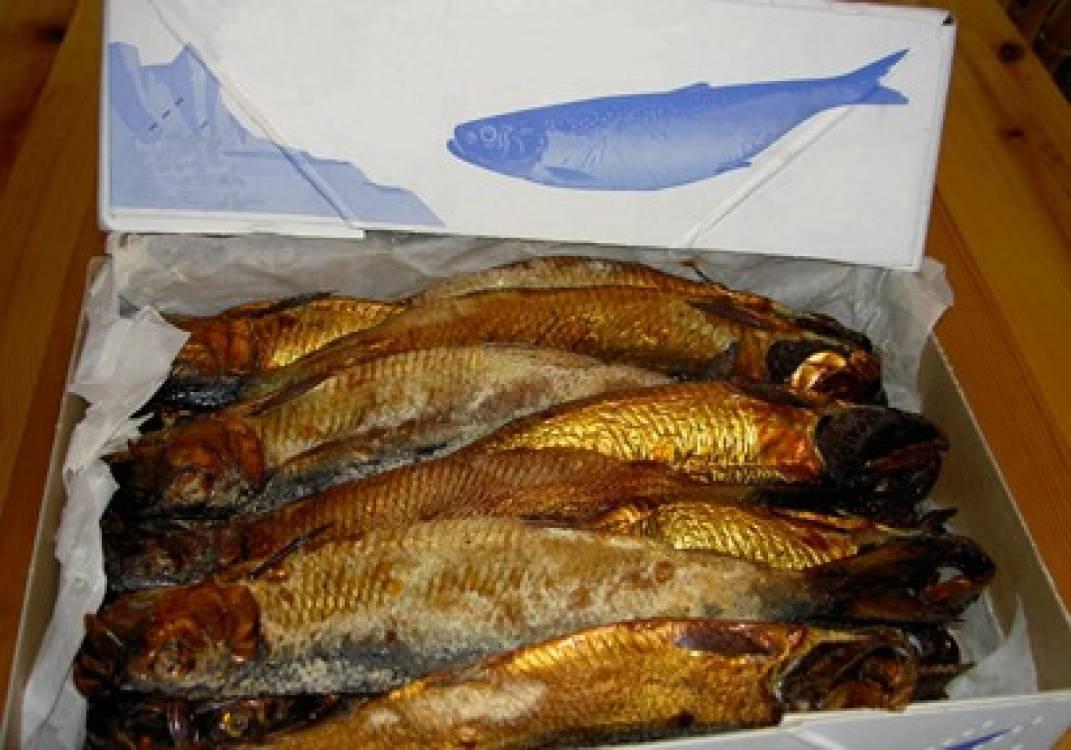 من وزارة الصحة للمواطنين: لا تأكلوا الفسيخ فإنه “يؤدي للشلل والوفاة”