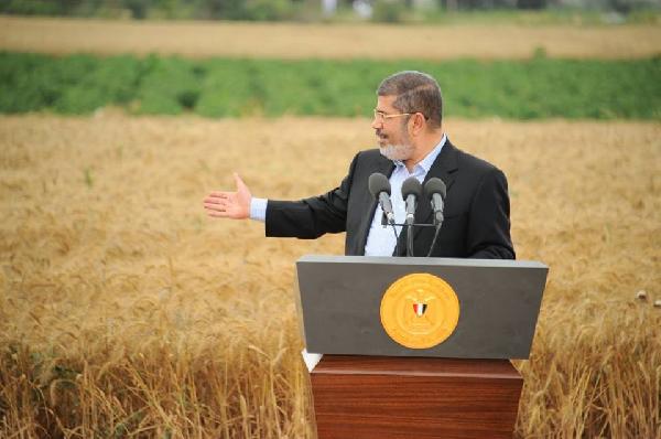 القمح المصري ..ما بين الاكتفاء الذاتي واللجوء للاستيراد