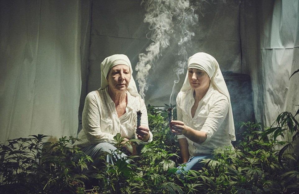 بالفيديو.. راهبتان تزرعان الحشيش في حماية الكنيسة