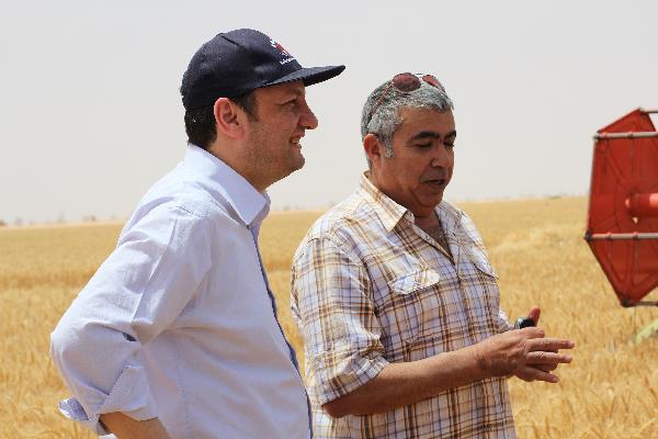 التموين :صرف 51 مليون جنيه للمزارعين