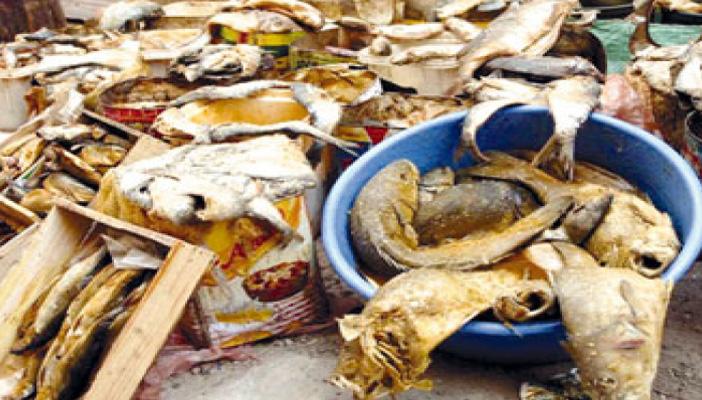 بالصور.. ضبط 20 طنا من “الفسيخ والرنجة” منتهية الصلاحية في البحيرة