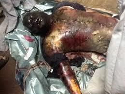 اليوم.. نظر استئناف المتهم الأول فى قضية ترحيلات “أبو زعبل”