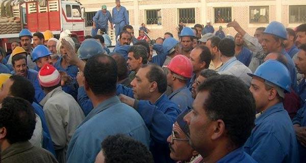 إضراب عمال “السويس للأسمدة” للمطالبة بالأرباح السنوية