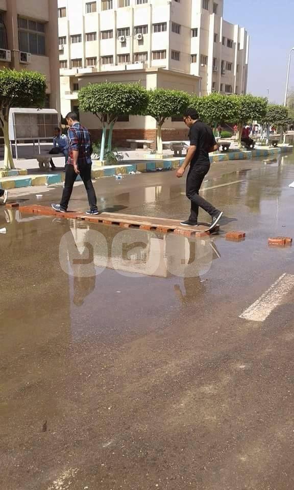 جامعة الزقازيق تتحول إلى برك من الصرف الصحي.. والمسؤولون يتجاهلون