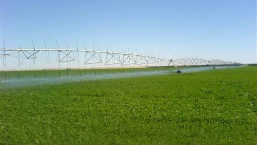 الإمارات تستثمر 250 مليون جنيه في مشاريع للجيش بتوشكى