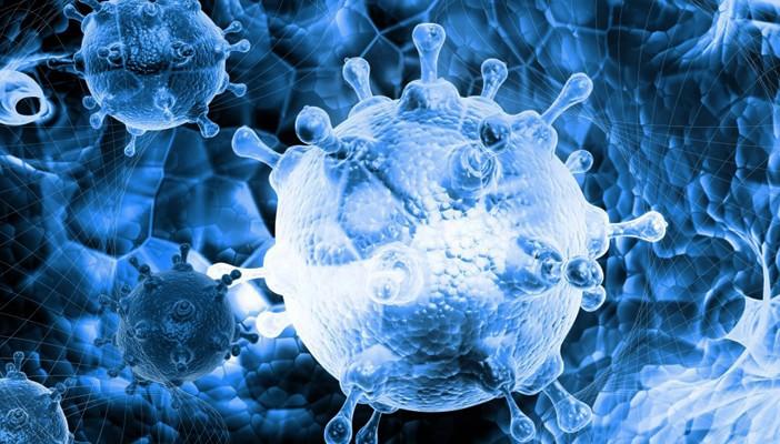 المركز القومي للبحوث: وصول إنفلونزا الكلاب إلى مصر وارد