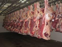 مصر ترفع معدل استيراد اللحوم من السودان