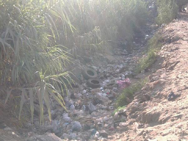 الأحزاب: محافظ القليوبية من النظام البائد وبدون إنجازات