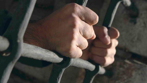 وفد دولي لمتابعة أوضاع السجون في مصر