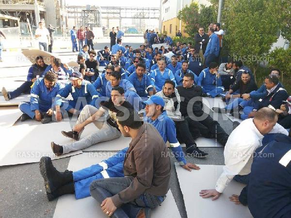 إضراب عمال مصنع البروبلين ببورسعيد