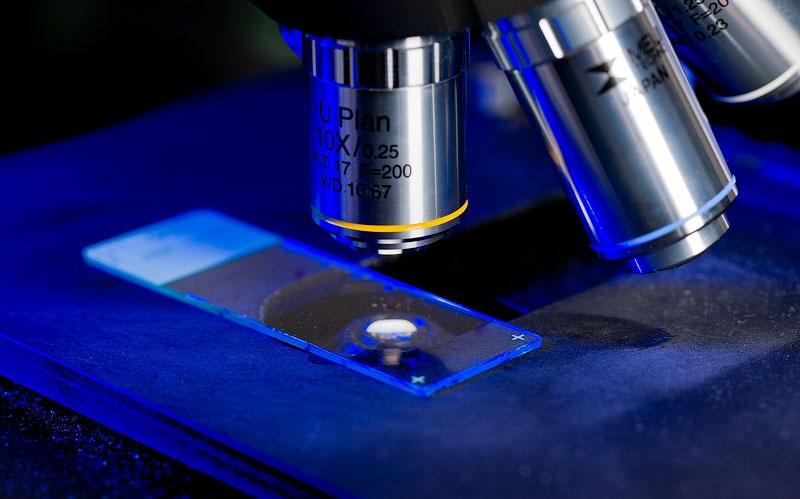 العثور على أجسام مضادة تساهم في العلاج من “كورونا”