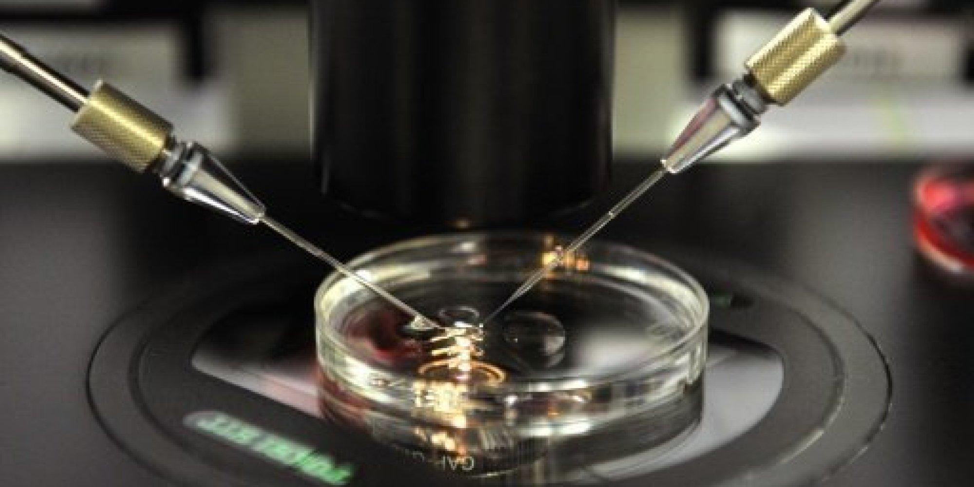 تحت الدراسة.. علاج جديد للعقم عن طريق خلايا الجلد