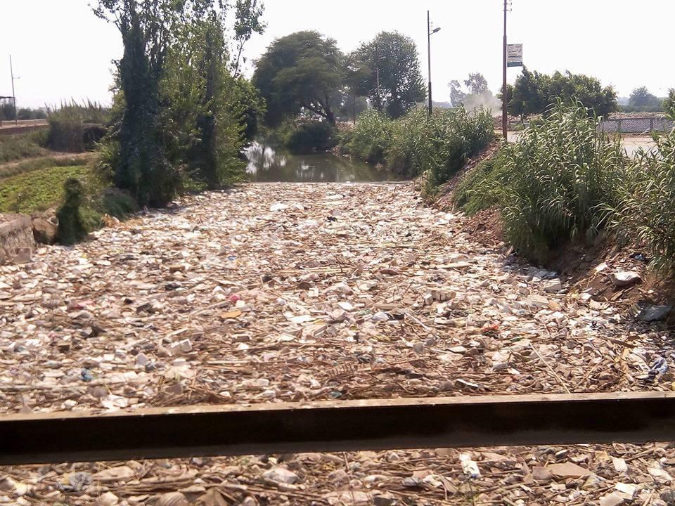 بالصور.. تلوث مياه الري وهلاك الزراعة بقرى مركز قويسنا بالمنوفية