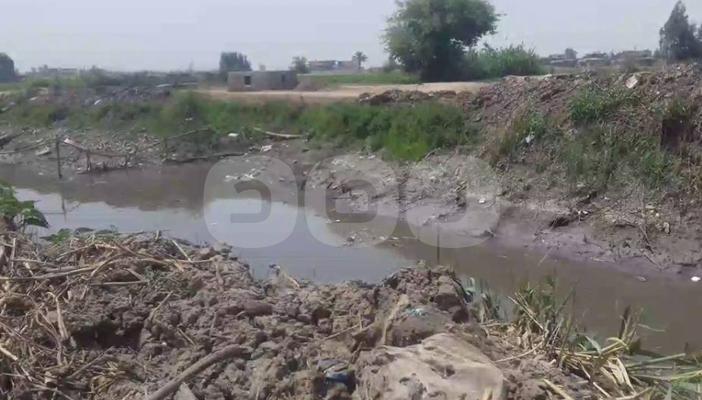 بالصور.. نقص مياه الري بالدقهلية كارثة تهدد موسم زراعة محصول الأرز