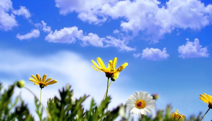 الأرصاد: طقس اليوم ربيعي والصغرى بالقاهرة 16