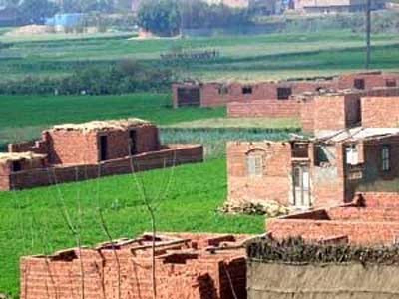 الزراعة تدرس تشديد عقوبات التعدي على الأراضي الزراعية