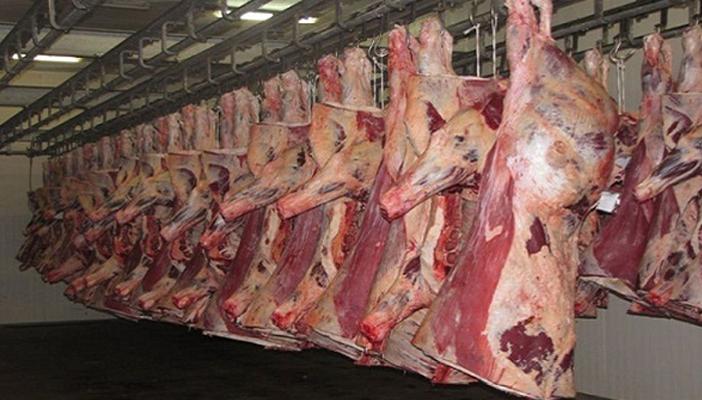 مفاجأة.. “البيطريين”: 90٪ من سلخانات مصر تحت بير السلم