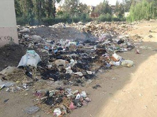 “غول القمامة” يهدد بكارثة صحية في ميت عاصم دقهلية