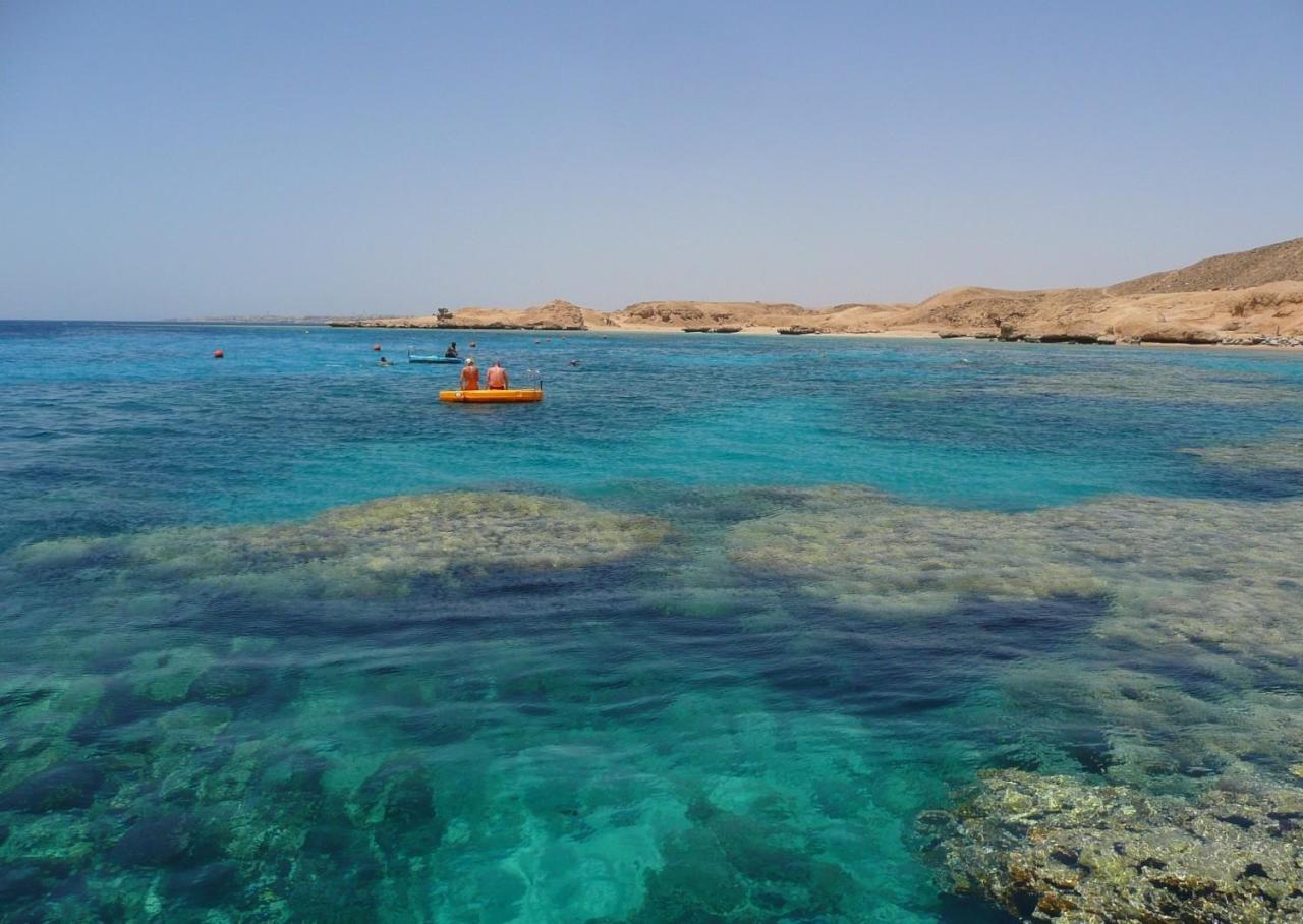 صحيفة سويسرية: تسليم “تيران وصنافير” كلمة سر التفاهم المصري السعودي