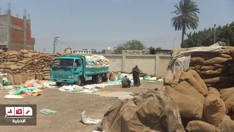 مع بدء توريد القمح .. إيتاي البارود تستقبل أكثر من 4 ألاف طن