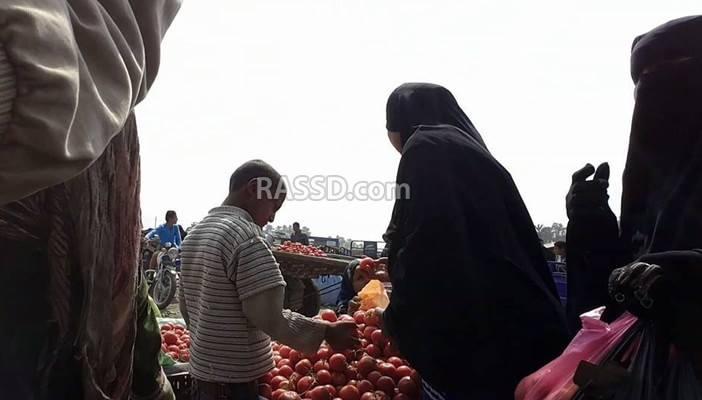 أسعار الطماطم تزداد جنونا في الفيوم