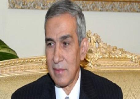 وزير الزراعة: حل كافة المشاكل التي تواجه الفلاح المصري