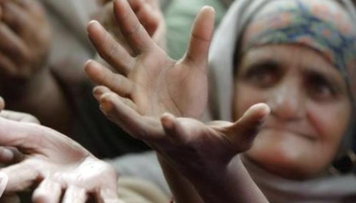 مجلة أمريكية: مصر تواجه خطرًا وجوديًا بسبب الأمن الغذائي