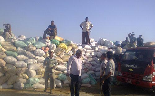 توريد 22381 طن قمح من شون بنوك التنمية