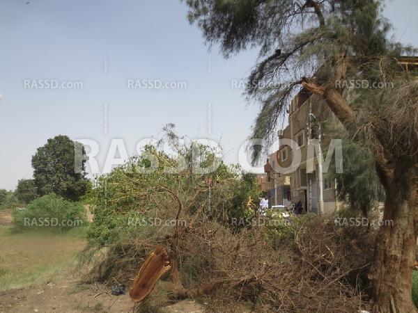 العثورعلى سائحة غارقة بالنيل وانقاذ 5 آخرين بأسوان