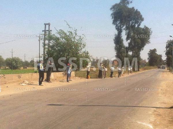 سلاسل بشرية بالمحلة وسمنود ضد الانقلاب العسكري