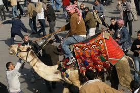 سلطان يكشف أسباب رفض الطعن على موقعة الجمل