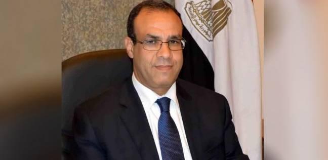 الخارجية الألمانية تستدعي السفير المصري.. والسفارة: نرحب بالعمل الأهلي