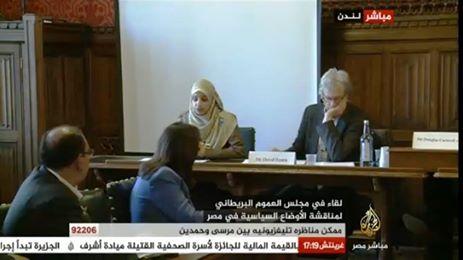 خبراء دوليون يطالبون بتحريك قضايا دولية لمحاكمة السيسي