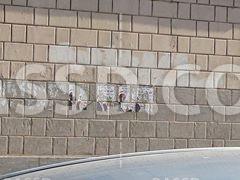 مجهولون يمزقون صورا لقائد الانقلاب بالمنيل والملك الصالح