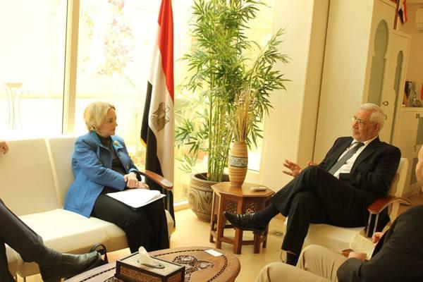 أبو الفتوح للسفيرة الأمريكية..نرفض الاستيطان وتهويد القدس