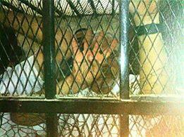 أمن الانقلاب يداهم منزل قيادي بالتحالف الوطني معتقل في أسوان