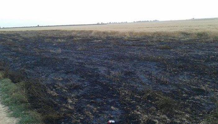 حريق هائل يلتهم 30 فدانًا من القمح في منطقة الصالحية بالشرقية