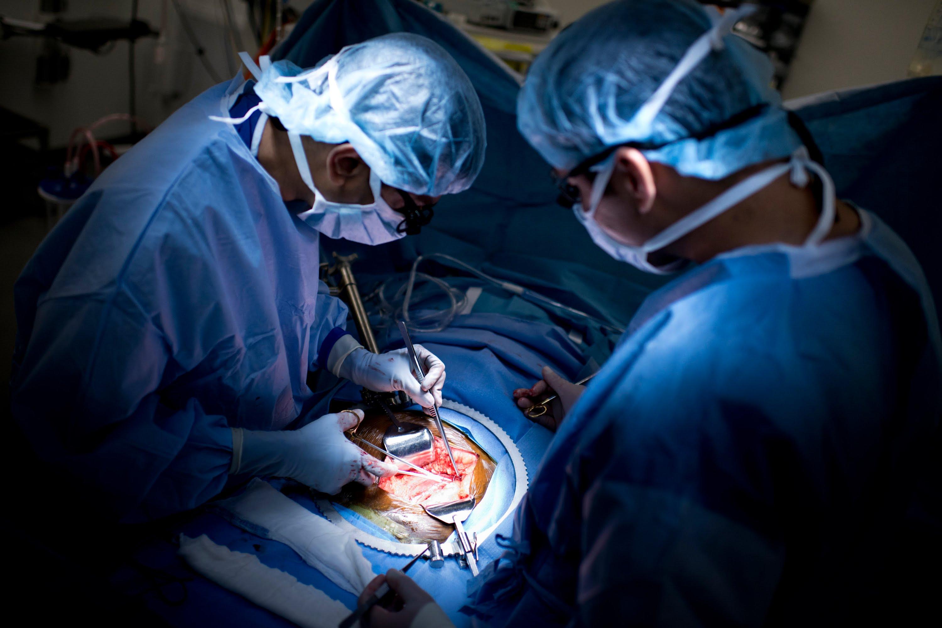 “تجارة الأعضاء” تعود للواجهة من جديد.. 10آلاف صفقة سنويا معظمها في مصر