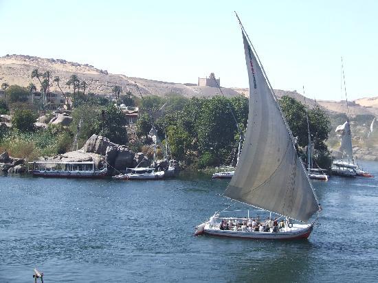 مصر على أعتاب فقر مائي .. و25 ألف فدان أهدرت منذ ثورة يناير