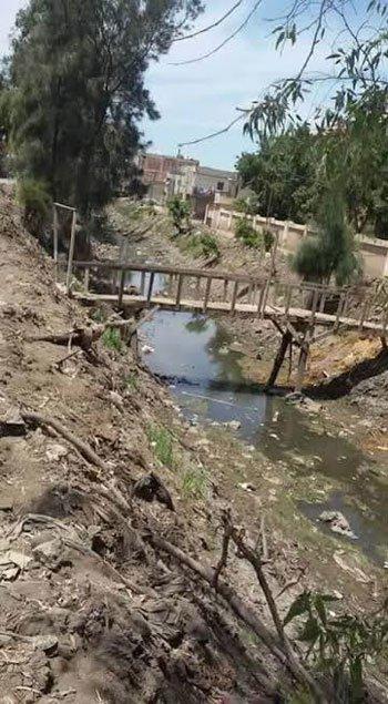 السيسي يتحدث عن استصلاح 1.5مليون فدان..وخبراء: أراضي مصر مهددة بالبوار