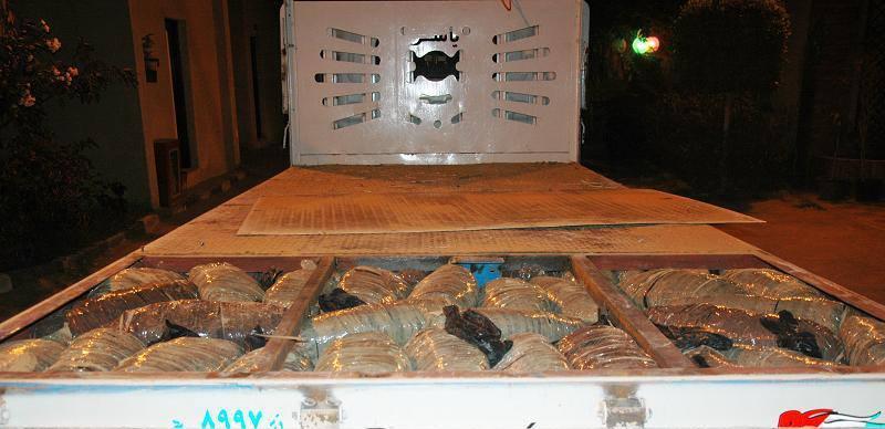 “حـرس الحـدود” تحبط محاولة   جديدة لتهريب المخدرات