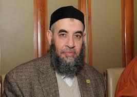 مخيون: حزب النور حشد للسيسي أكتر من حملته نفسها