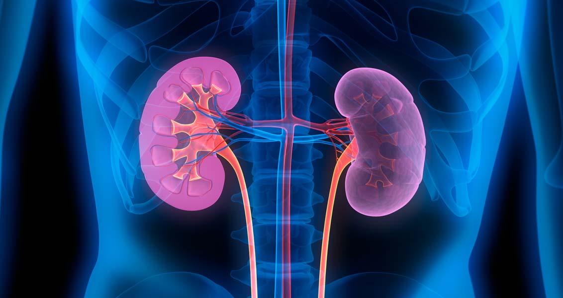 ارتفاع ضغط الدم يؤثر على وظائف الكلى