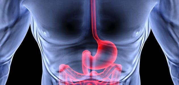 5 أعراض لمشاكل الجهاز الهضمي في رمضان.. كيف يمكنك التخلص منها؟