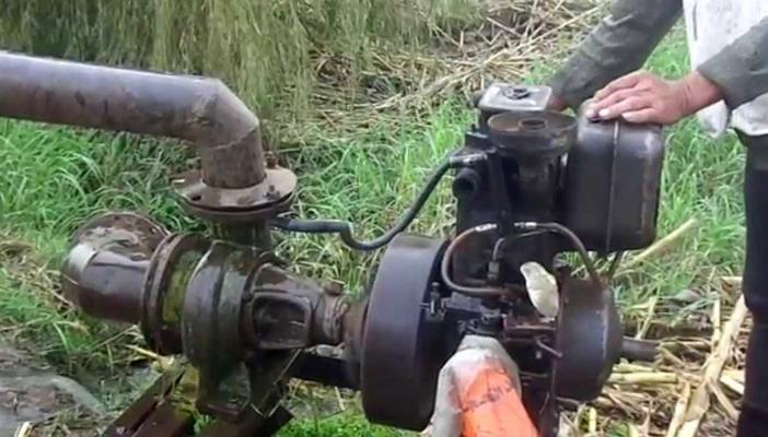 اتحاد الفلاحين: محاصيل الذرة والقطن والأرز مهددة بالعطش