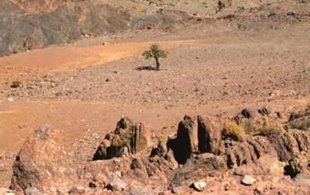 زراعيين : سد النهضة سيؤدي لتصحر مليوني فدان في مصر