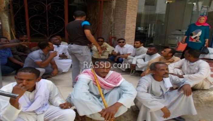 وقفة لعمال اليومية في “الوطنية” بأسوان تنديدا بفصلهم تعسفيا