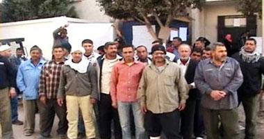 عودة مصنع ” الفيبر بورد ” للعمل بقنا